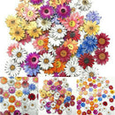 50X Lot Wooden Buttons Sewing 2-holes Scrapbooking Button Crafts Flower Shape