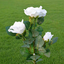 3LED Solar Simulation Rose Flower Light Garden Lawn Landscape Lamp (White)