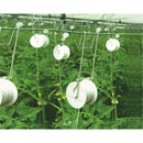 10x Tomato Trellis Rollerhook Hooks Clips Clamps Twine Roller with 49ft Rope