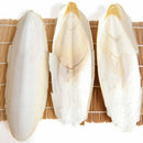 Cuttlefish Bone 7PCS