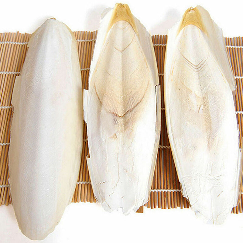 Cuttlefish Bone 7PCS