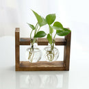 Hanging Glass Vase Landscape Terrarium With Wooden Stand Decor 2 Bottle