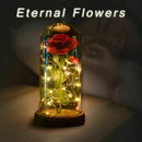 Eternal Rose Flower Red Silk Rose and LED Light with Fallen Petals in Glass E8Y6