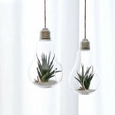 Glass Hanging Vase Planter Succulent Air Plant Pot Landscape Ornament 2-pot