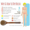 Dry Skin Body Brush Bath Exfoliating Brush Natural Bristles Back Scrubber w