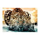Cheetah 5D Full Drill Diamond Painting Embroidery DIY Craft Cross Stitch