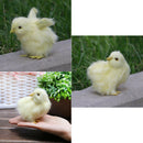 3Pcs/Set Realistic Lifelike Easter Baby Chicks Synthetic Furry Farm Animal Prop,