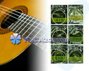6PCS SETS ERNIE BALL 1-6STRING SLINKY CLASSIC GUITAR ACOUSTIC STRINGS