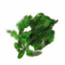 50 pcs Feather of cock Applique Sewing Decor Garment Hat DIY Jewelry 5-10 c P5O2
