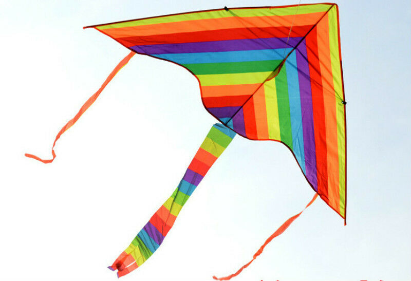 1m Rainbow Delta Kite outdoor sports for kids Toys easy to fly  Z