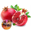 5D DIY Full Drill Diamond Painting Pomegranate Cross Stitch Embroidery Kit A