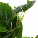 Large Leaf Aquatic Plant Simulation Aquarium Fish Tank Decoration Ornament