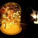 Glass Dome Bell Jar Cloche Wooden Base with 20LED Fairy Stand Light String X0G5