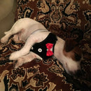 Dog Vest Pet Dog Harness Leash Set for Small Medium Dogs Bow Tie Formal Dre O1R3