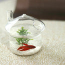 Mushroom-shaped Hanging Glass Planter Vase Rumble Fish Tank Terrarium Conta Q4B8