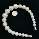 Large Ivory Full Headbands Trendy Women Hairbands GirlRe Luxury Fashion