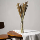 50Pcs Natural Dried Pampas Grass Reed Flower Bunch Wedding Bouquet Decors AU Hot
