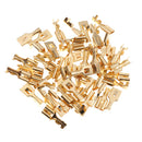 40A 6.3mm Car Auto 5 Pin Relay Socket Relay Holder with 50Pcs Copper Terminal