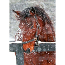 5D DIY Full Drill Diamond Painting Horse Cross Stitch Embroidery (B251)