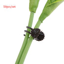 Set Plastic Plant Support Clips Orchid Stem Clip for Vine Support Tied Bundl Bj