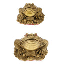 3 Legged Wealth Money Frog Toad Lucky Fortune Feng Shui Ornaments Gift S