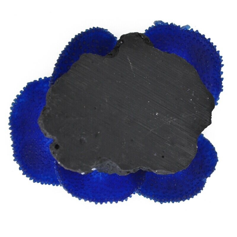 Aquarium plant artificial coral blue B8J1