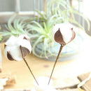 Naturally Dried Cotton Stem Farmhouse Artificial Flower Filler Floral Home Decor