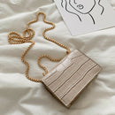 Elegant Women Pure Mini Shoulder Bags Leather Chain Messenger Bag (White)