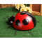 15Pcs/Set Ladybug Insect Ornament Home Garden Decor Wall Hanging Art Crafts 10cm