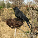 1pc Realistic Looking Halloween Decoration Birds Black Feathered Crows Hall C8F7