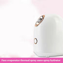 180ml Nano Face Mister Spray Facial Steamer Hydrating Moisture Beauty Tools
