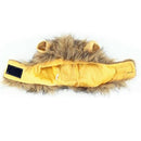 Pet Clothing, Dog or Cat Clothing, Beauty and Beast Clothing, Christmas Rol