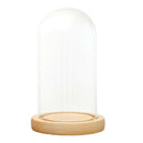 Clear Glass Dome Cover Shade Wood Cork Plant Flower Vase Container 12x22cm