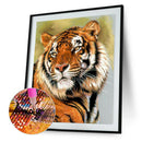 5D DIY Full Round Drill Diamond Painting Tiger Animal Cross Stitch (B1003)