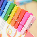 50pcs Mini Natural Wooden Clothes Photo Paper Peg Clothespin CraLJ Clips Hot LJ