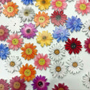 50pcs Wooden Chrysanthemums Sewing Buttons DIY Scrapbooking Clothes Decor