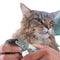 Pet Toe Care Stainless Steel Dog Cat Claw Nail Clippers Nail Trimmer(Blue) A