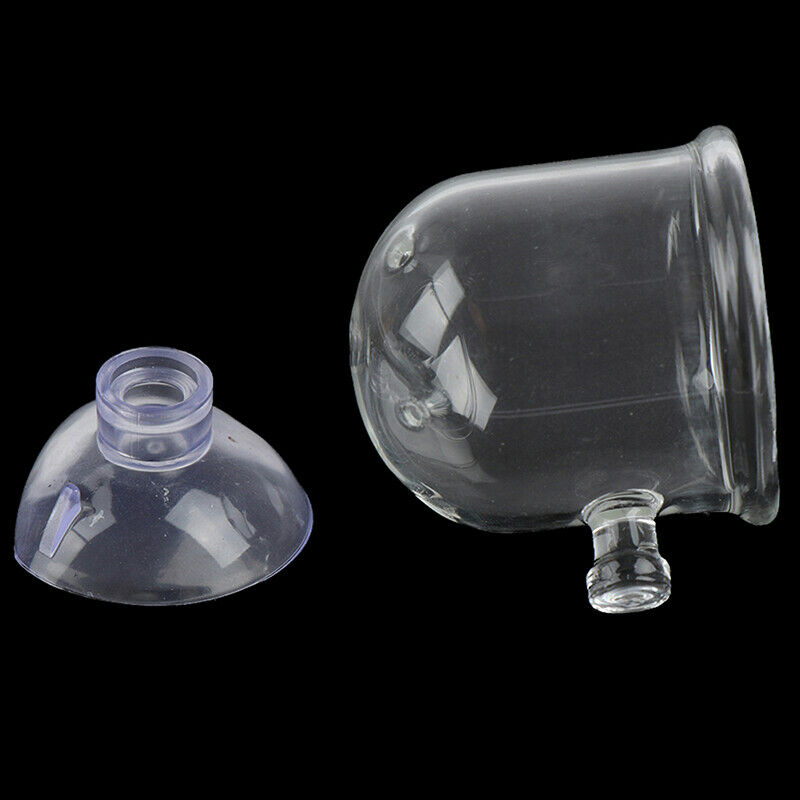 Pinhole Pot Plant Feeding Cup Holder Shrimp Aquarium Fish Tank Aquatic Fee zc Gw