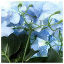 Artificial Flowers Silk 7 Big Head Hydrangea Bouquet for Wedding, Room, Hom Q5R4