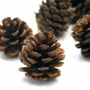Pack of 9 Decorative Hanging Pinecone Christmas Tree Decorations Z2J9