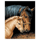 Diy Oil Painting by Numbers -Horses- PBN Kit for Adults Girls Kids White Ch