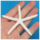 12pcs 10-12cm Beautiful White Finger Starfish Beach Wedding House Crafts De D2J2