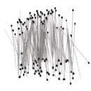 100pcs Stainless Steel  Insect Pins Specimen Pins for School Lab EducatiME