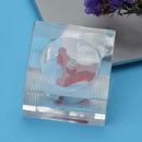 G1/4 Square 3 Impeller Flow Meter Indicator for PC Water Cooling(Red)