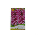 Foxglove Seeds 50 seeds perennial gorgeous 4 Feet tall awe inspiring LJ