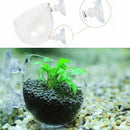 New Crystal Glass Live Plant Cup Red Shrimp Aquarium Holder FishTank G6V8