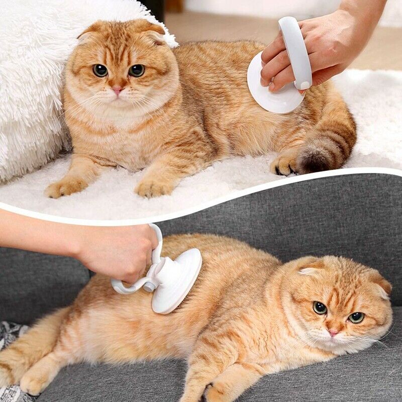 Dele Pet Slicker Brush for Dogs and Cats Pro Quality Self Cleaning Grooming