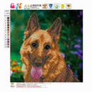5D Diy Diamond Embroidery Painting Kit / Rhinestone Pasted Painting / Cross