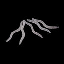 10Pcs Fishing Lure Set Kit Soft Bait Lure Grub Earthworm Carp Fishing Tackle