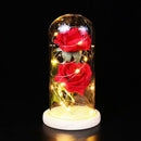 Beauty Rose and Beast Led Light With Fallen Flower Petals in a Glass Dome O